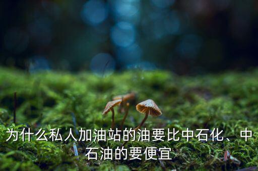 為什么私人加油站的油要比中石化、中石油的要便宜