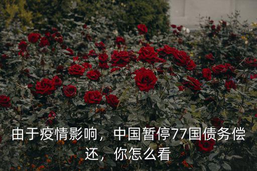 由于疫情影響，中國暫停77國債務(wù)償還，你怎么看