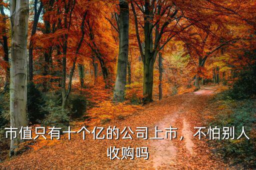 市值只有十個億的公司上市，不怕別人收購嗎