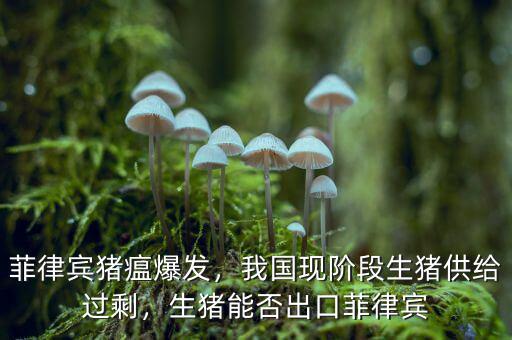 菲律賓豬瘟爆發(fā)，我國現(xiàn)階段生豬供給過剩，生豬能否出口菲律賓