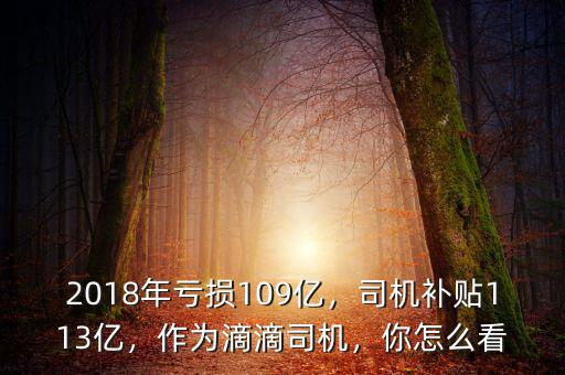 2018年虧損109億，司機補貼113億，作為滴滴司機，你怎么看