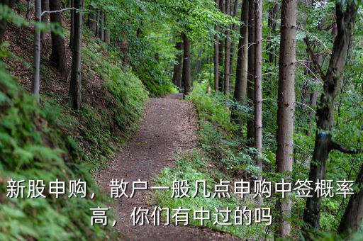 新股申購(gòu)，散戶一般幾點(diǎn)申購(gòu)中簽概率高，你們有中過(guò)的嗎