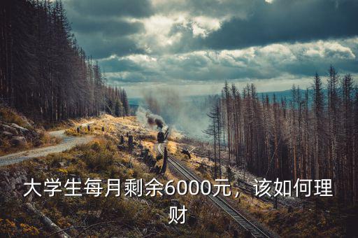 大學(xué)生每月剩余6000元，該如何理財