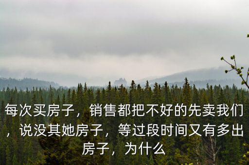 每次買房子，銷售都把不好的先賣我們，說沒其她房子，等過段時間又有多出房子，為什么