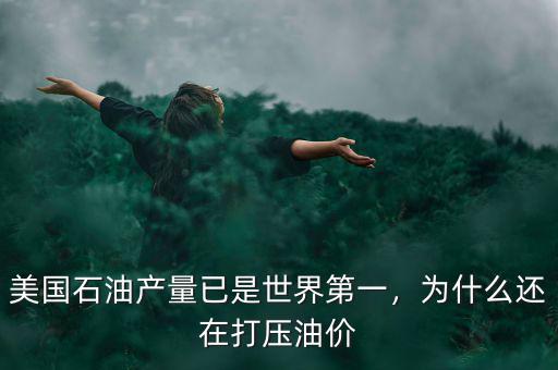 美國(guó)石油產(chǎn)量已是世界第一，為什么還在打壓油價(jià)