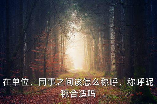 在單位，同事之間該怎么稱呼，稱呼昵稱合適嗎