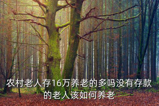 農村老人存16萬養(yǎng)老的多嗎沒有存款的老人該如何養(yǎng)老