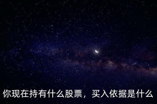 你現(xiàn)在持有什么股票，買入依據(jù)是什么
