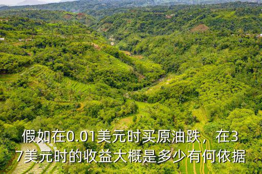 假如在0.01美元時買原油跌，在37美元時的收益大概是多少有何依據(jù)