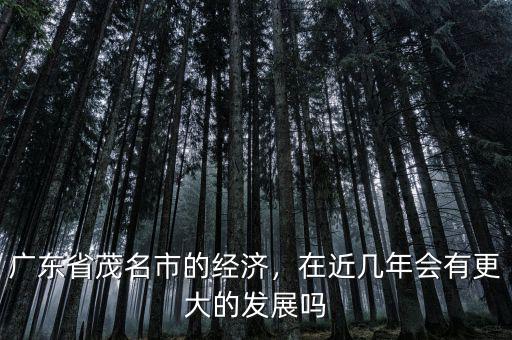廣東省茂名市的經(jīng)濟(jì)，在近幾年會有更大的發(fā)展嗎