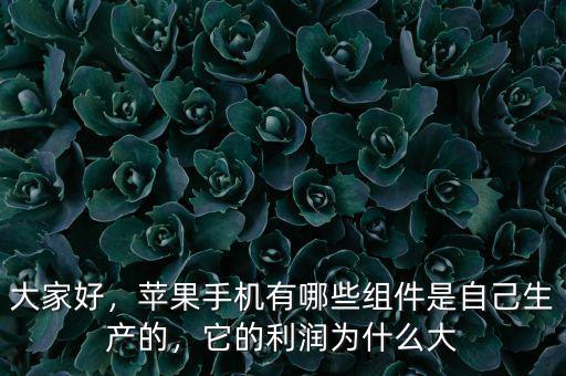 大家好，蘋(píng)果手機(jī)有哪些組件是自己生產(chǎn)的，它的利潤(rùn)為什么大