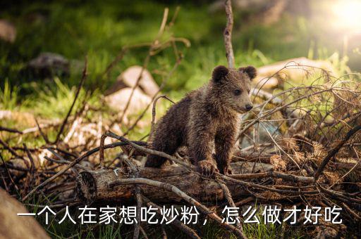 一個人在家想吃炒粉，怎么做才好吃