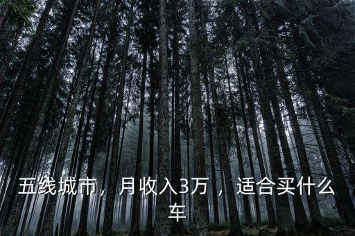 五線城市，月收入3萬(wàn) ，適合買什么車