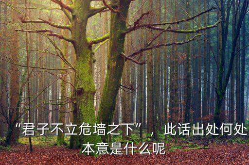 “君子不立危墻之下”，此話出處何處本意是什么呢