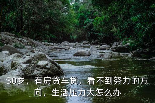 30歲，有房貸車貸，看不到努力的方向，生活壓力大怎么辦