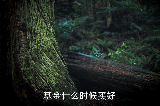 基金什么時(shí)候買(mǎi)好