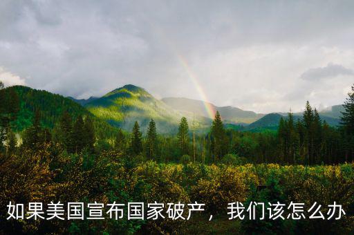 如果美國宣布國家破產(chǎn)，我們?cè)撛趺崔k