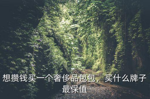 想攢錢買一個(gè)奢侈品包包，買什么牌子最保值