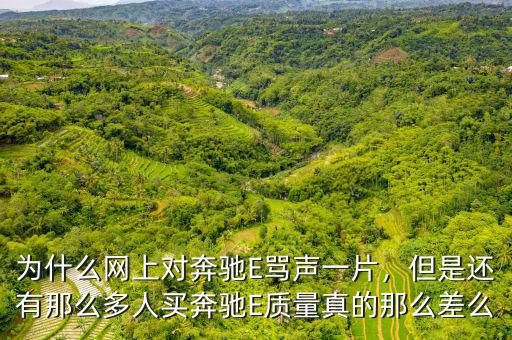 為什么網(wǎng)上對(duì)奔馳E罵聲一片，但是還有那么多人買奔馳E質(zhì)量真的那么差么