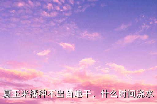 夏玉米播種不出苗地干，什么時間澆水