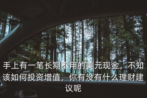 手上有一筆長期不用的美元現(xiàn)金，不知該如何投資增值，你有沒有什么理財建議呢