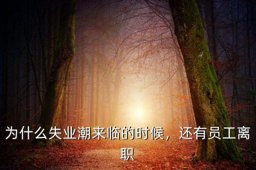 為什么失業(yè)潮來臨的時候，還有員工離職