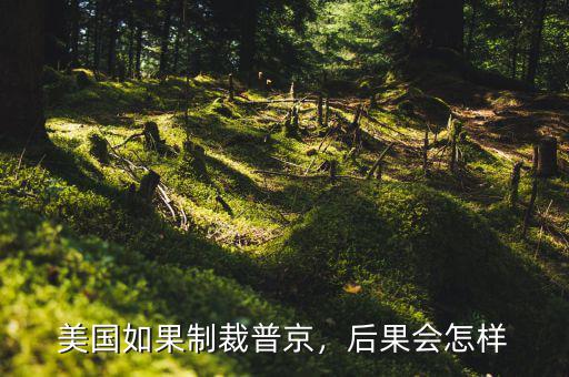 美國(guó)如果制裁普京，后果會(huì)怎樣