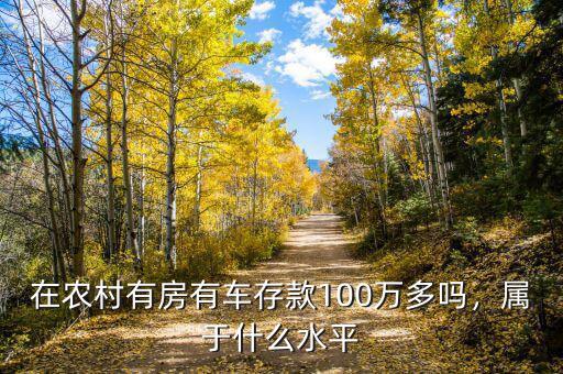 在農(nóng)村有房有車存款100萬多嗎，屬于什么水平