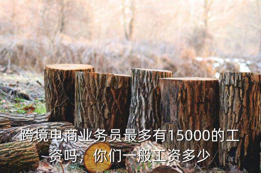 跨境電商業(yè)務(wù)員最多有15000的工資嗎，你們一般工資多少