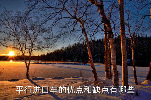 平行進(jìn)口車有什么缺點(diǎn),平行進(jìn)口的車能不能買(mǎi)