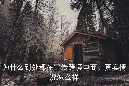 為什么到處都在宣傳跨境電商，真實(shí)情況怎么樣