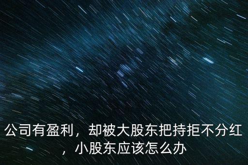 公司有盈利，卻被大股東把持拒不分紅，小股東應(yīng)該怎么辦
