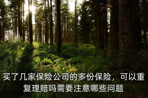 買了幾家保險(xiǎn)公司的多份保險(xiǎn)，可以重復(fù)理賠嗎需要注意哪些問題