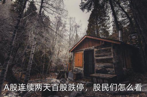 A股連續(xù)兩天百股跌停，股民們怎么看