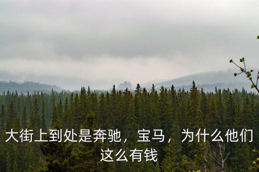 大街上到處是奔馳，寶馬，為什么他們這么有錢