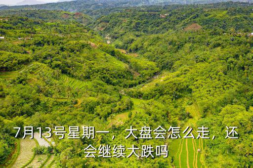 7月13號(hào)星期一，大盤會(huì)怎么走，還會(huì)繼續(xù)大跌嗎