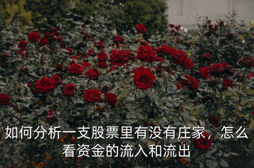 如何分析一支股票里有沒有莊家，怎么看資金的流入和流出
