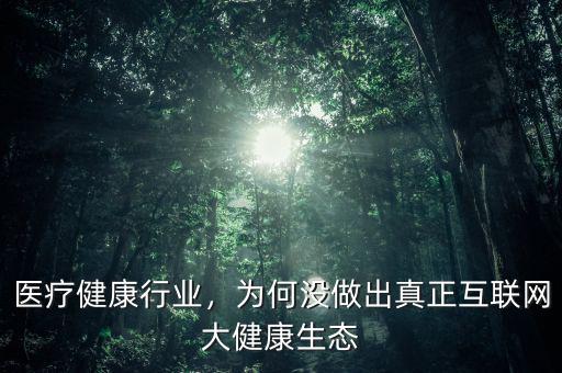 醫(yī)療健康行業(yè)，為何沒做出真正互聯(lián)網(wǎng)大健康生態(tài)