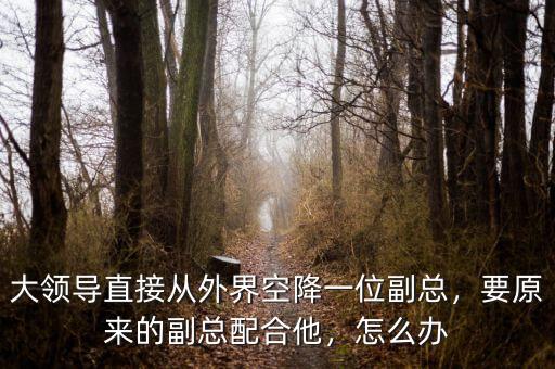 大領導直接從外界空降一位副總，要原來的副總配合他，怎么辦