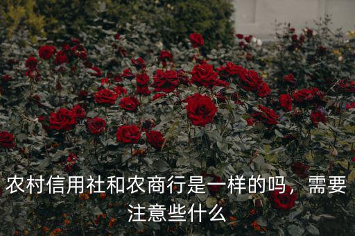 農(nóng)村信用社和農(nóng)商行是一樣的嗎，需要注意些什么