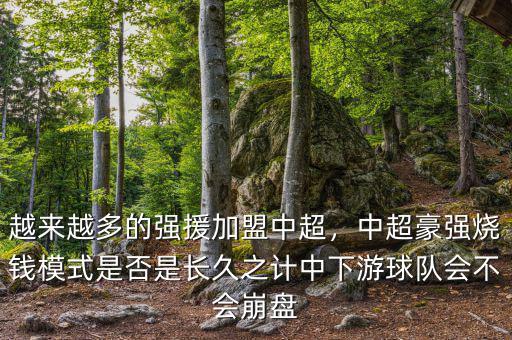 越來越多的強援加盟中超，中超豪強燒錢模式是否是長久之計中下游球隊會不會崩盤