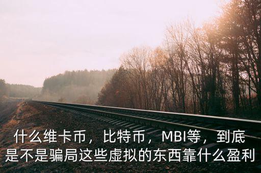 什么維卡幣，比特幣，MBI等，到底是不是騙局這些虛擬的東西靠什么盈利