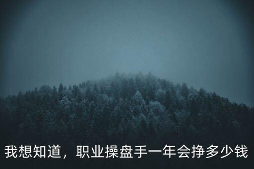 我想知道，職業(yè)操盤(pán)手一年會(huì)掙多少錢(qián)