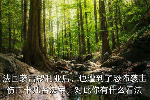 法國(guó)襲擊敘利亞后，也遭到了恐怖襲擊傷亡十幾名法軍，對(duì)此你有什么看法