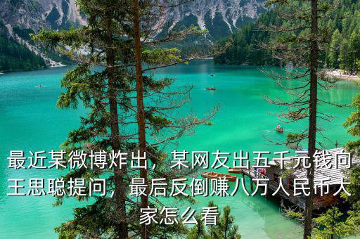 最近某微博炸出，某網(wǎng)友出五千元錢向王思聰提問，最后反倒賺八萬(wàn)人民幣大家怎么看