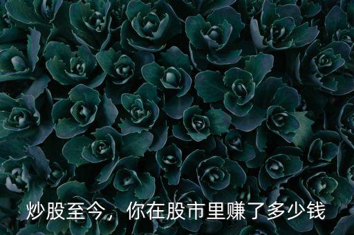 炒股至今，你在股市里賺了多少錢