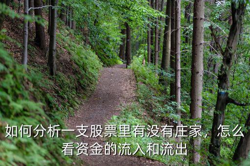 如何分析一支股票里有沒有莊家，怎么看資金的流入和流出