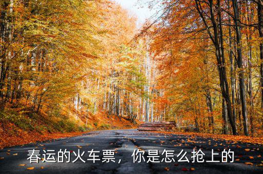 春運的火車票，你是怎么搶上的
