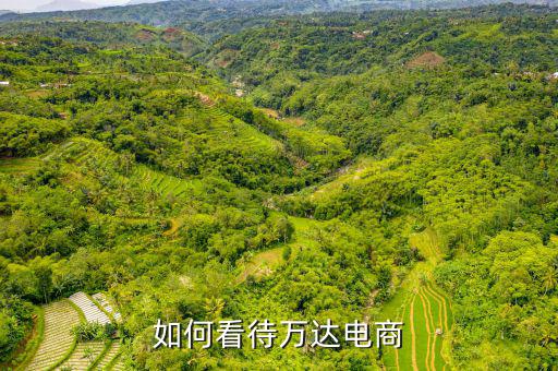 萬達(dá)電商會(huì)員是什么,會(huì)員制電商是什么