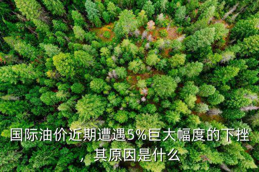 國際油價近期遭遇5%巨大幅度的下挫，其原因是什么